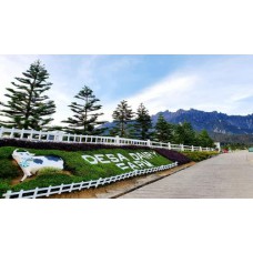 Kinabalu Park / Desa Farm + Poring Hot Spring Day Tour                     